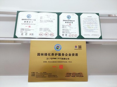 上海市专业工商注册与财税服务全攻略