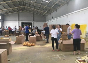 720华日厂购会，我们准备好了——展览展示服务全面升级，只为更完美的呈现